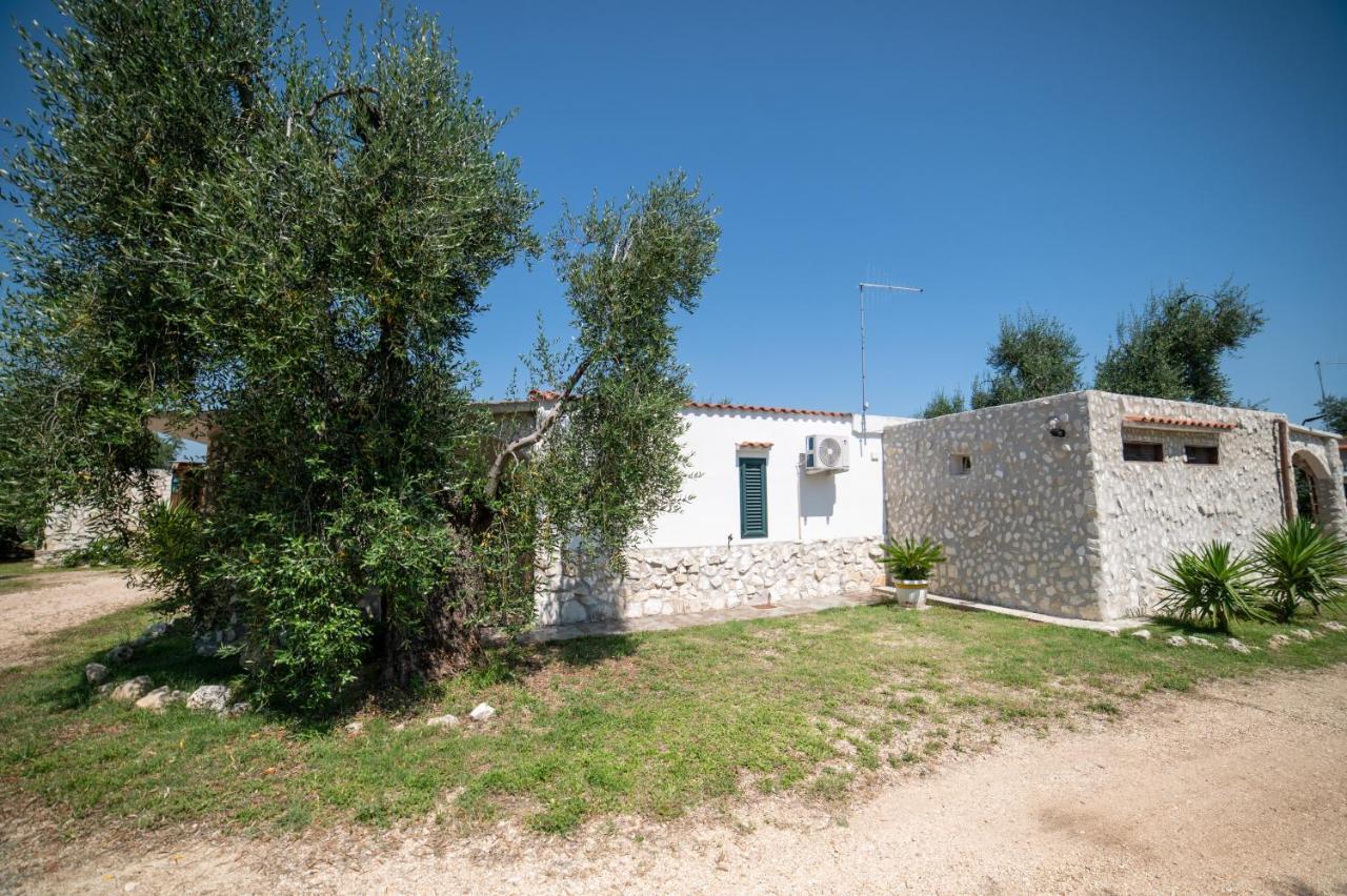 Coppola Rossa Relax Bed and Breakfast Vieste Exteriör bild
