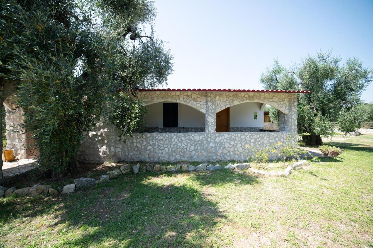 Coppola Rossa Relax Bed and Breakfast Vieste Exteriör bild