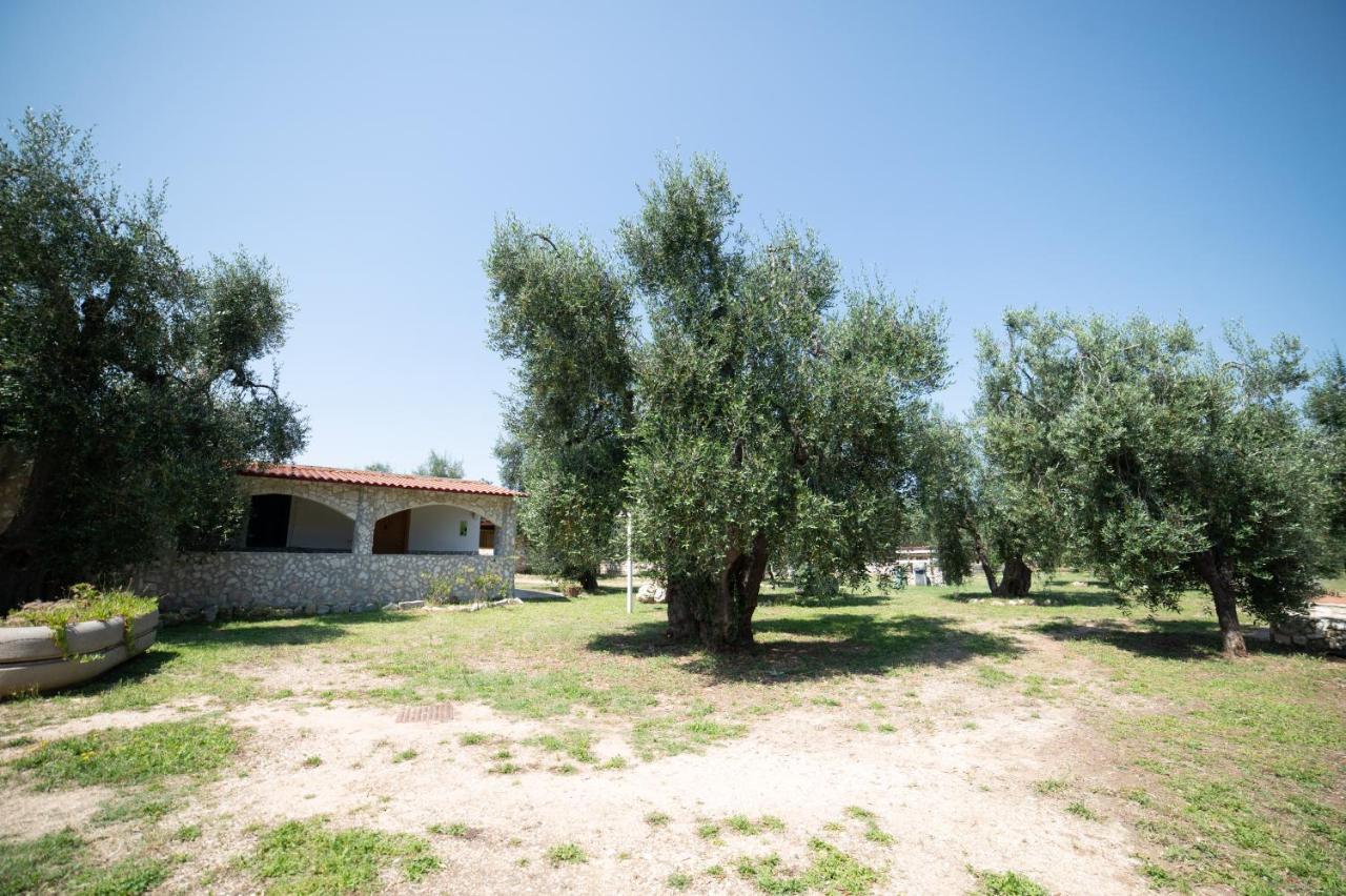 Coppola Rossa Relax Bed and Breakfast Vieste Exteriör bild