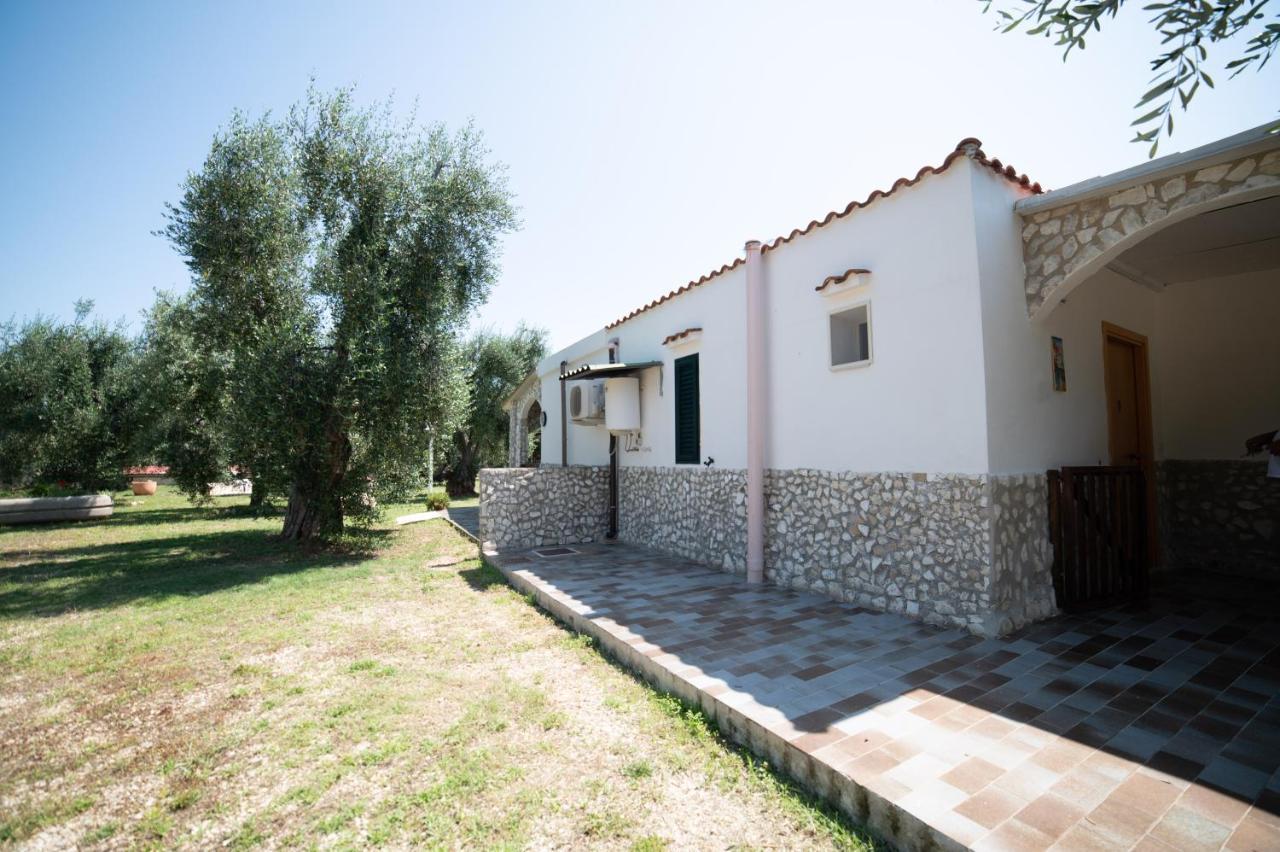 Coppola Rossa Relax Bed and Breakfast Vieste Exteriör bild